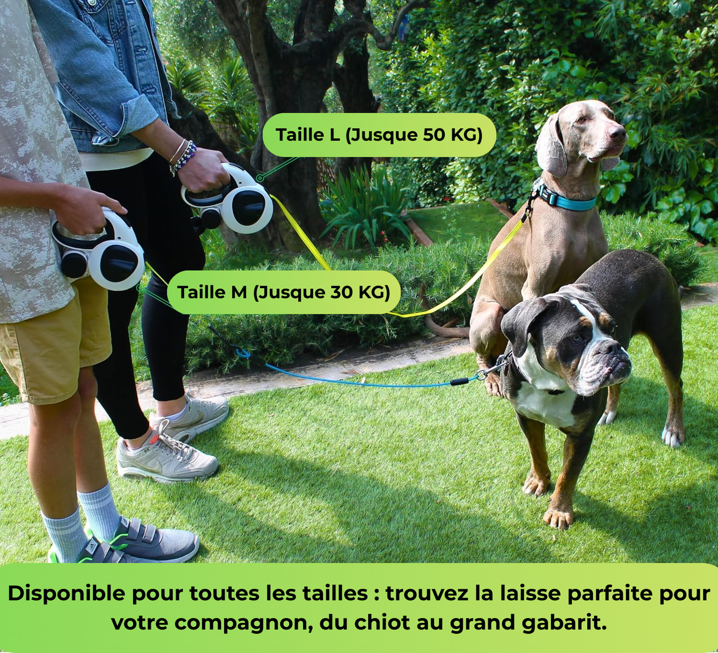 Lumipet – Laisse rétractable éclairante pour chien