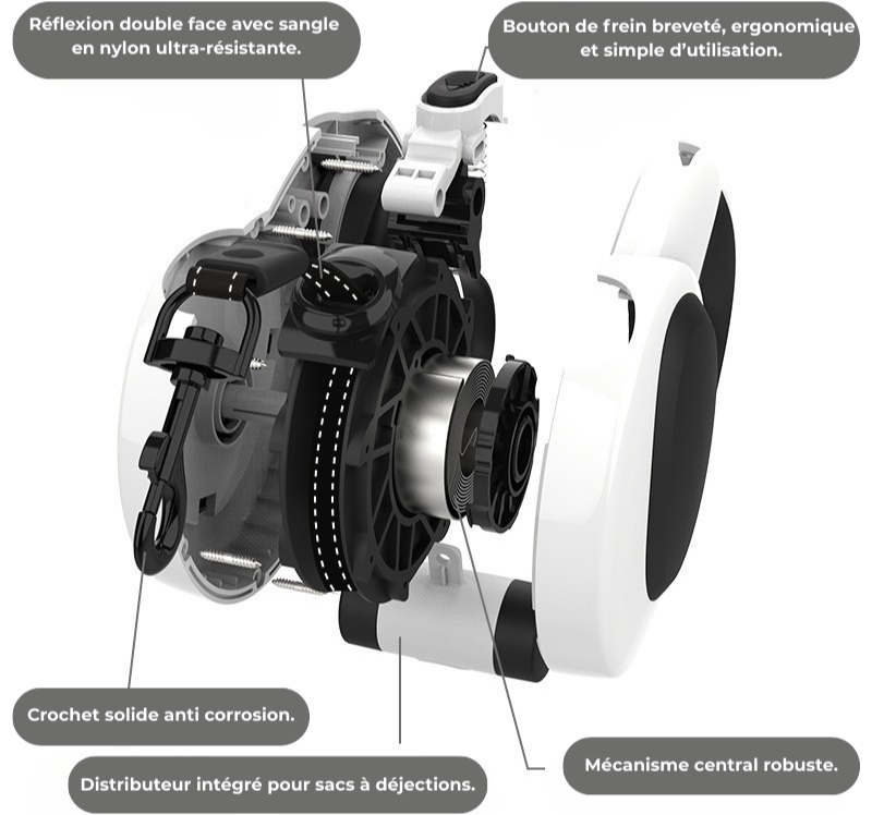 Lumipet – Laisse rétractable éclairante pour chien