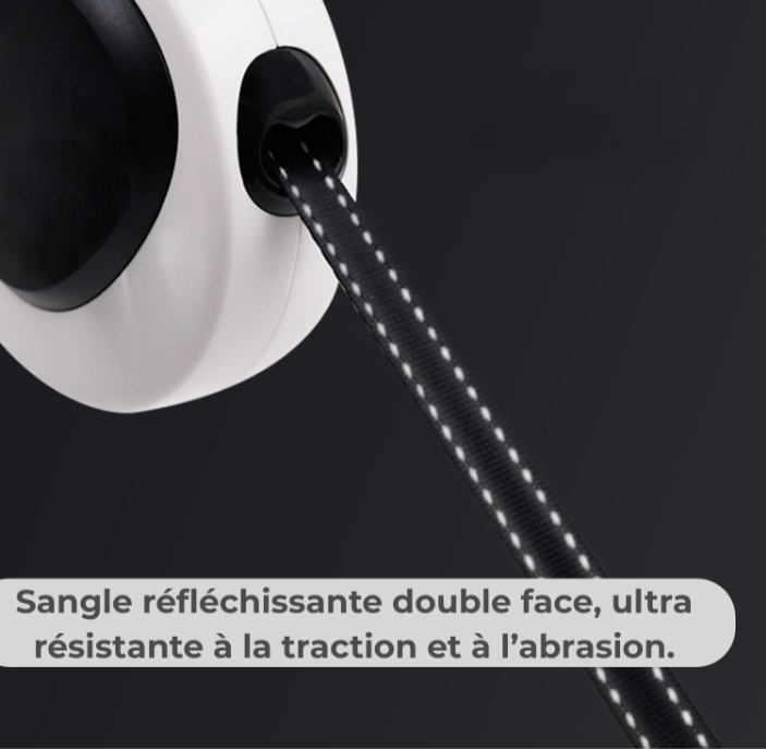 Lumipet – Laisse rétractable éclairante pour chien